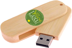 Yellow Leaf Photo Booth USB Drive